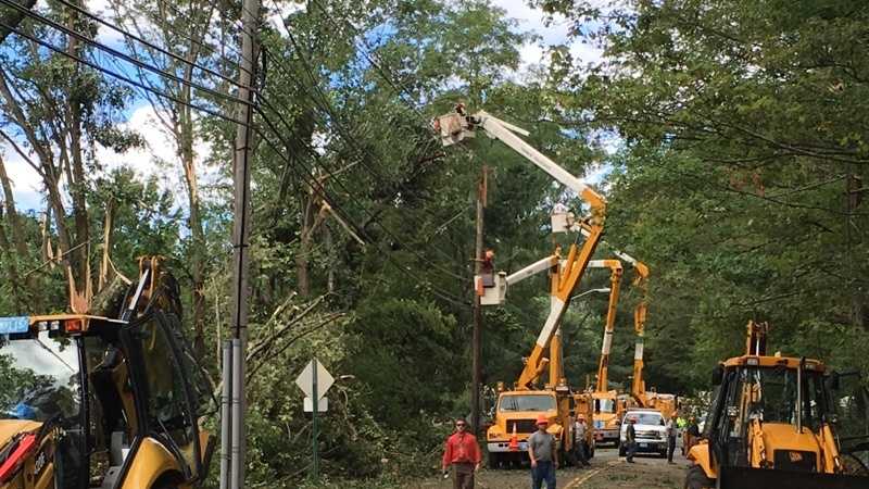Severe storms bring down trees, power lines