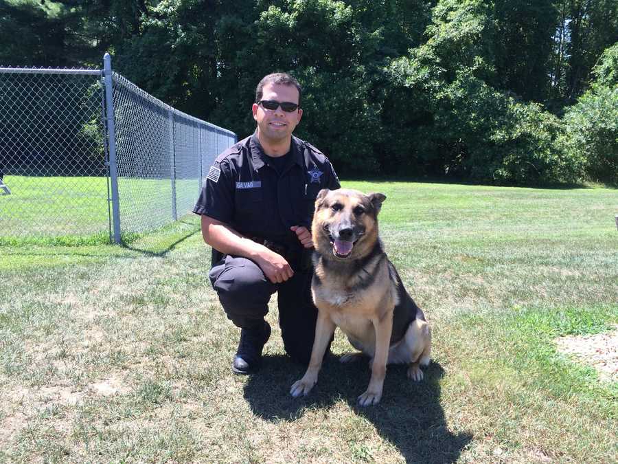 Massachusetts' K-9 heroes