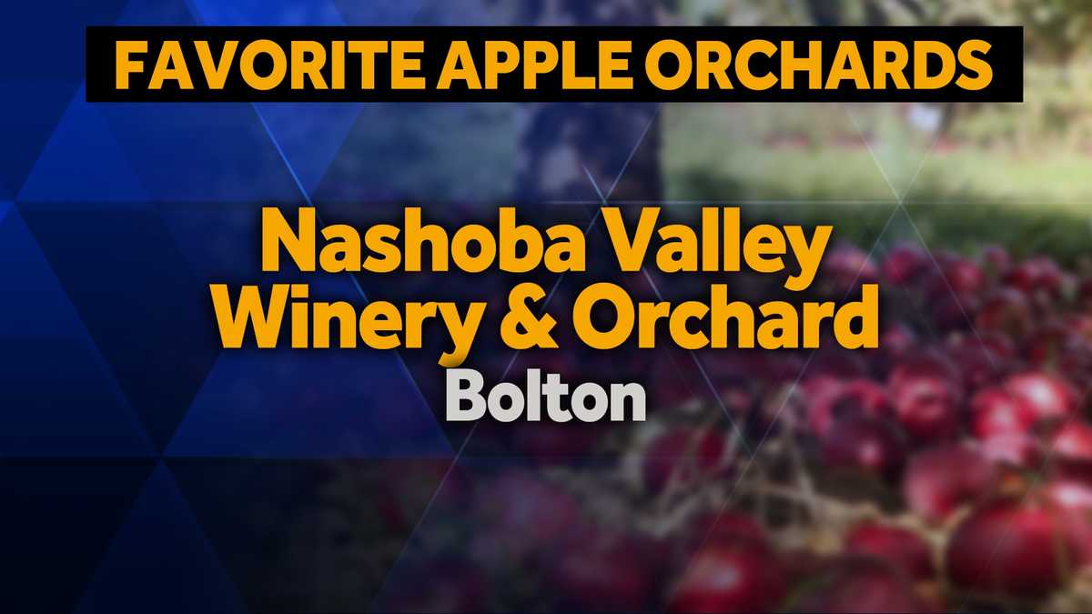 Best in Massachusetts Apple picking
