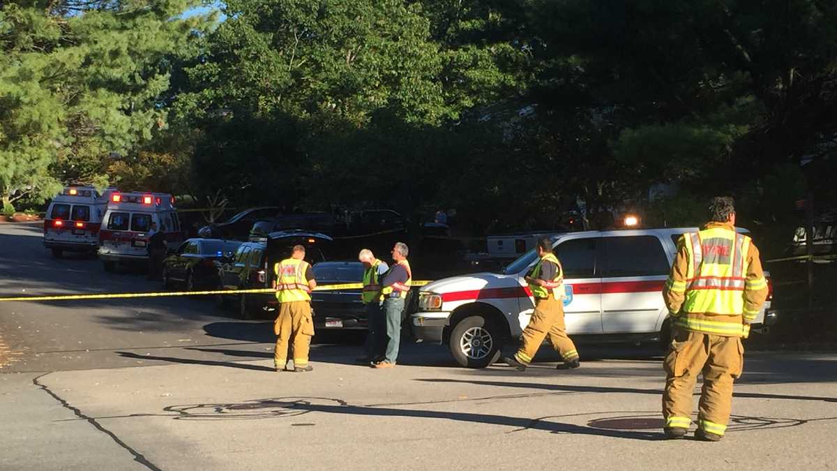 5yearold dies in 'tragic accident' involving car in Grafton