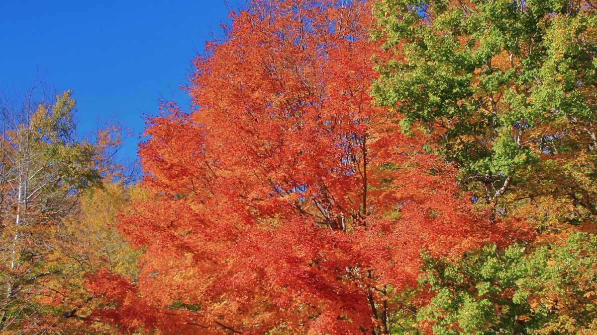 20 photos from New England's most colorful fall foliage drive