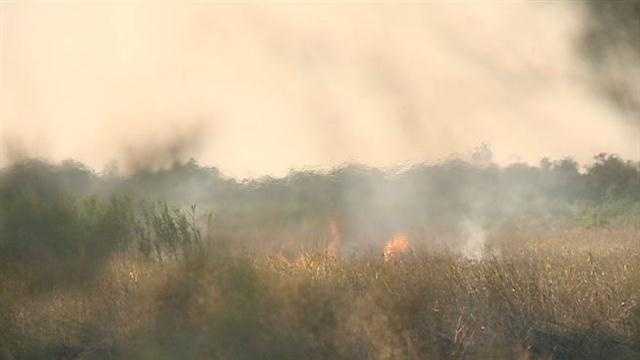 Firefighters battle marsh fire burning in New Orleans East