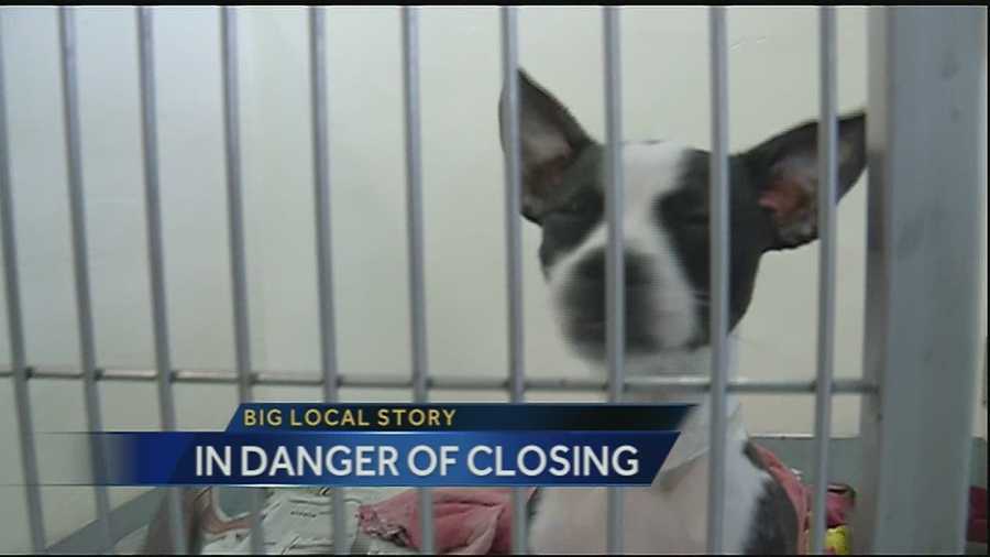 Animal shelter faces closure after financial struggles, former employees' alleged theft Animal shelter faces closure after financial struggles, former employees' alleged theft