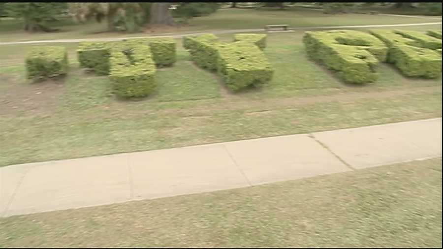 A City Park official says they're not pointing fingers and taking full responsibility for an accident in which the "C," and "I" from bushes that spell out "City Park" were cut down.
