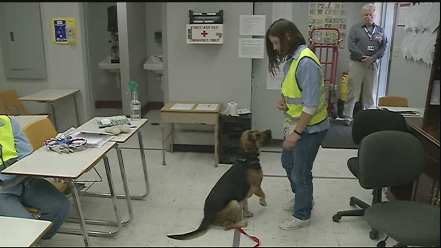 "From the Dog House, to the Big House" is currently being implemented in two Louisiana Prisons: Rayburn Correctional Center in Washington Parish for men, and the Louisiana Correctional Institute for Women in St. Gabriel.