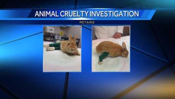 Two rabbits were bound at the legs and thrown from a vehicle in Metairie. The Louisiana SPCA is looking for the person responsible and offering a reward.