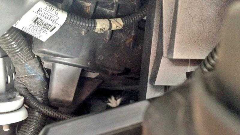 It started about 3 p.m. when WDSU reporter Andy Cunningham and his photographer discovered a "meow" coming from the engine.