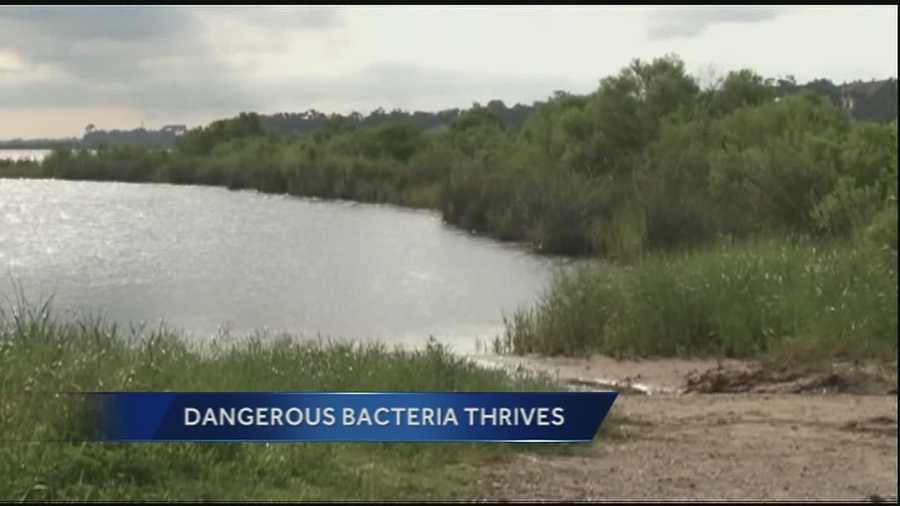 A flesh-eating bacteria has been found in Louisiana waterways.
