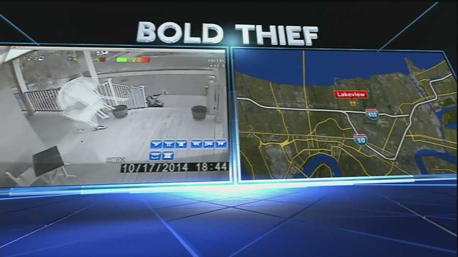 A brazen thief has put some neighbors in Lakeview on alert this weekend.