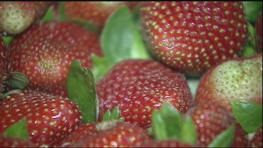 People poured into downtown Ponchatoula Friday night to enjoy everything strawberry despite some monsoon-like rains earlier in the day.