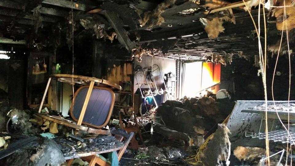 Images Crews rescue dog from house fire in