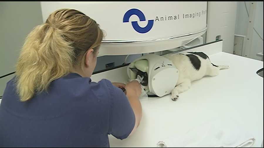 The latest technology available on the Northshore diagnoses pets, just like humans.A local animal hospital is now able to pinpoint problems in animals using an MRI scanner. We explain how it works and why it can be a lifesaving measure for your pet.