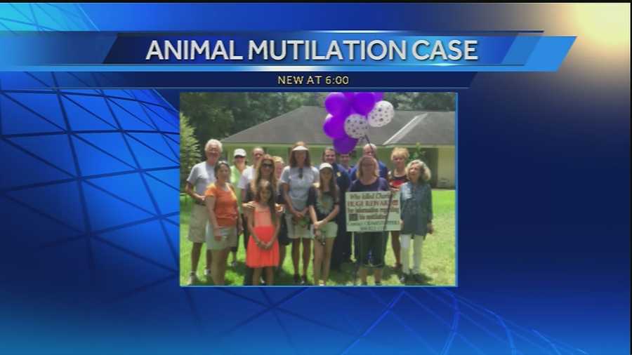 Northshore animal cruelty case helps introduce new initiatives to investigate similar cases