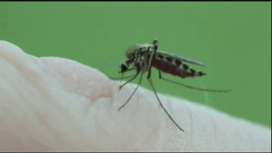 While people were out enjoying the Labor Day holiday, many residents on the west bank of Orleans Parish were taking precautions against mosquitoes.