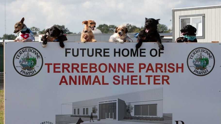Photos Terrebonne Parish Animal Shelter groundbreaking
