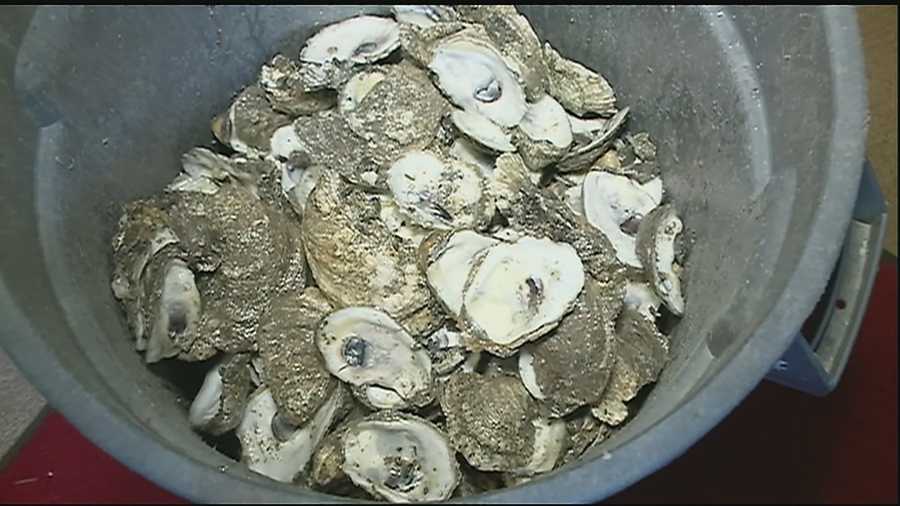 A group called the Coalition to Restore Coastal Louisiana is aiming to make a difference by returning the shells to their natural home: the water.