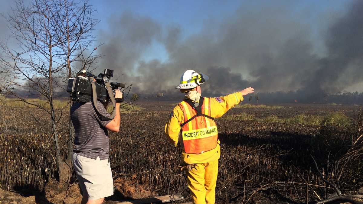Photos Marsh fire in