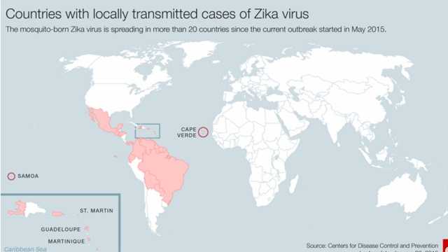 Mosquitoes carryng Zika virus often Southeast Louisiana
