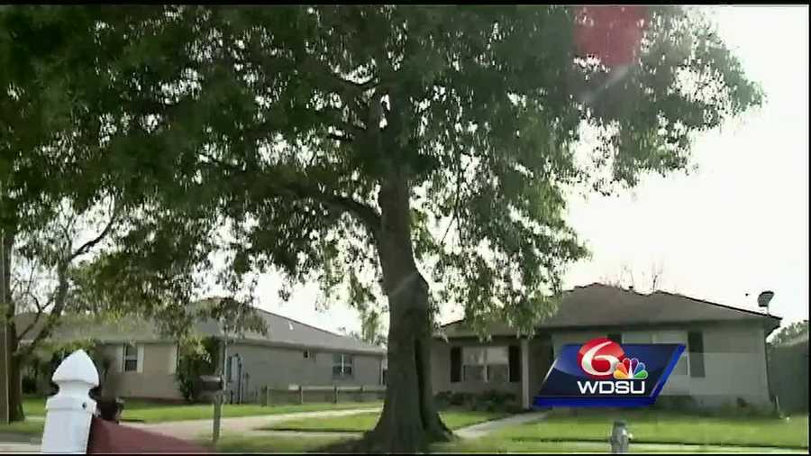 Termites and a swarm of bees are becoming a nuisance to residents in a New Orleans East neighborhood because of a rotten tree they have been waiting on the city to cut down.