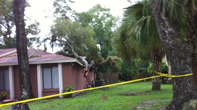 Photos Storms Leave Downed Trees Power Lines