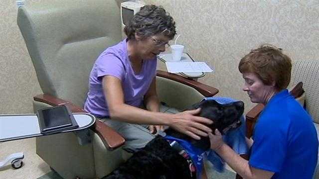 Therapy dog, Conrad, continues to make his rounds visiting patients at Orlando Regional Medical Center even as he is being treated for cancer.