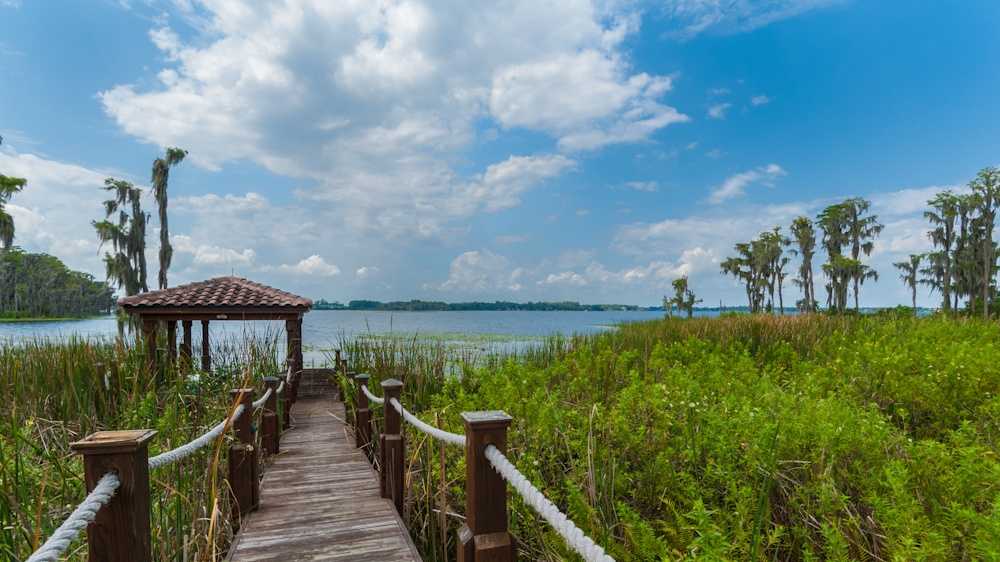 Photos: Look inside Warren Sapp's home up for auction