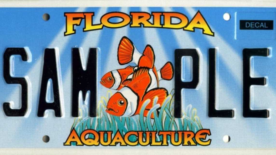 images-florida-s-specialty-license-plates