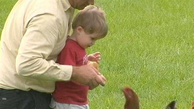 A new ordinance could help a local autistic boy save his pet chickens.  The chickens serve as the little boys therarpy and their eggs help support his diet.