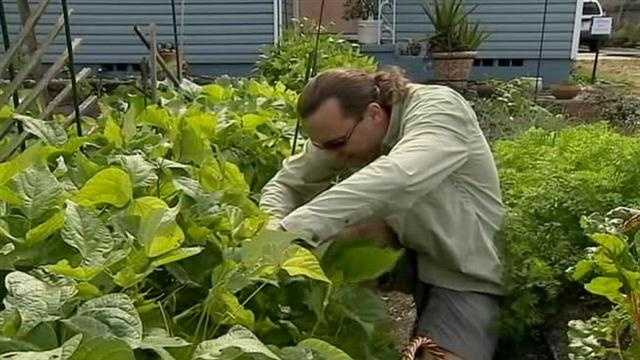The city of Orlando has ordered a College Park man to get rid of the vegetable garden in his front yard, calling it a code violation.