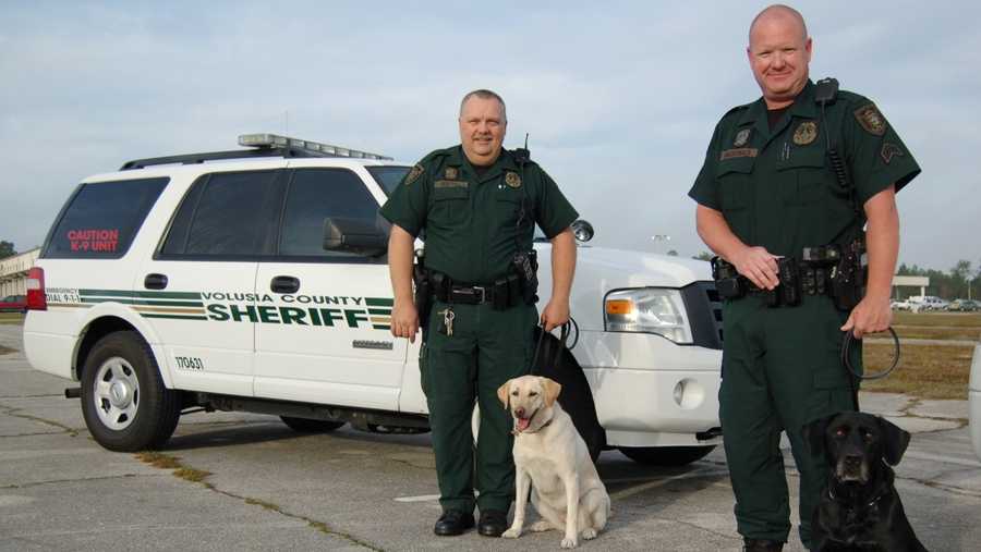 Deputy Christopher Westfall with Holly (left) and Sgt. David MacDonald with Bandit.