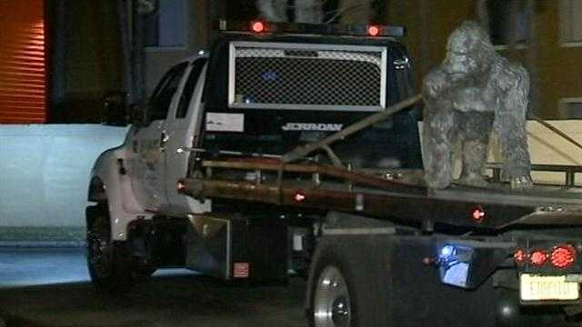 The massive stolen gorilla statue has been returned to it's rightful owner.  Crews wheeled the 600-pound statue out of a home in Orange County tonight, but initially, they wouldn't touch it.