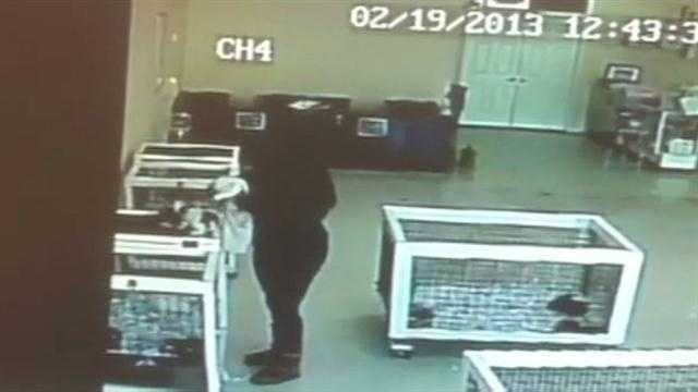 Raw Video: Woman places puppy in bag