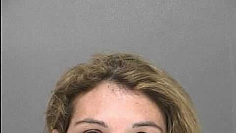 Real estate agent caught stealing from homeowner, deputies say