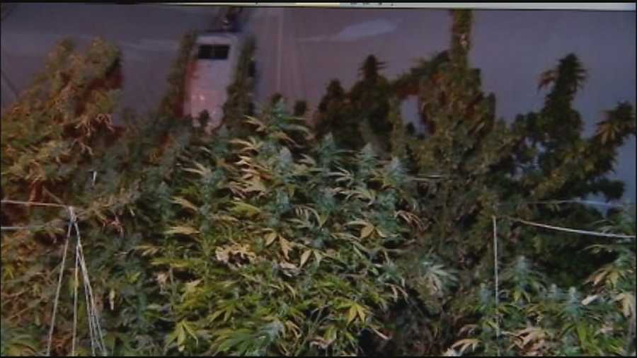 Daytona Beach Police Department officers say they weren't surprised to find a pot-growing operation inside a home.