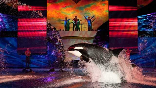 Summer Nights at SeaWorld: Summer has begun and now SeaWorld will stay open until 10 p.m. with special nightly events, including Shamu Rocks, and all of the park’s thrilling attractions. 