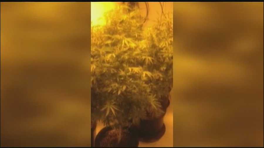 A coffee warehouse being used as a marijuana growhouse led to the arrest of a businessman, and his employee spoke only with WESH 2 about the case.