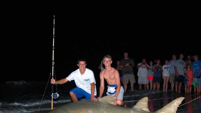 Two Ormond Beach teenagers hooked a 350-pound sawfish and reeled it in off the beach of Sanibel Island.