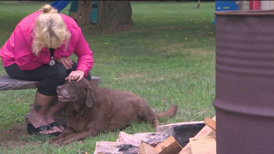 A Frederick County couple is at the center of what's believed to be a first of its kind civil court case in Maryland involving what pet owners can collect in damages if something happens to their pets.