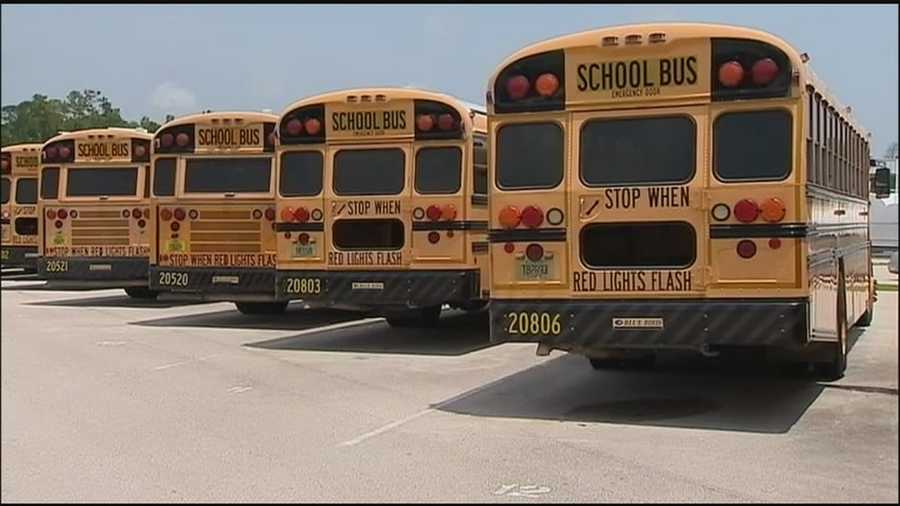 School Buses 