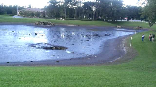 Apparent Sinkhole Swallows Water From Ocala Pond