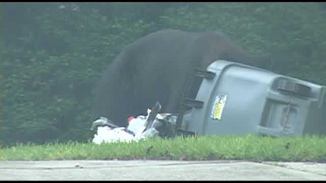 A bear in the Sweetwater neighborhood of Longwood got the attention of neighbors Monday morning.