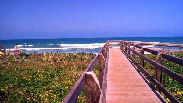 A frontal view of the boardwalk at the Canaveral National Seashore beach. 