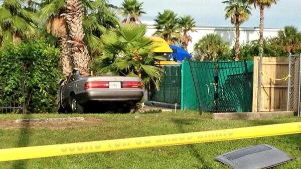 Car racer shot before crashing into tree