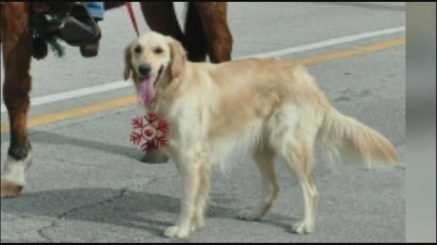 Volusia County Sheriff's Office are investigating an apparent dog-napping.