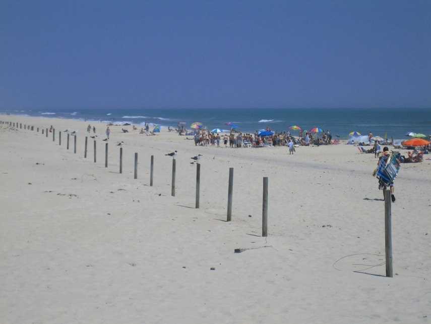 assateague beach