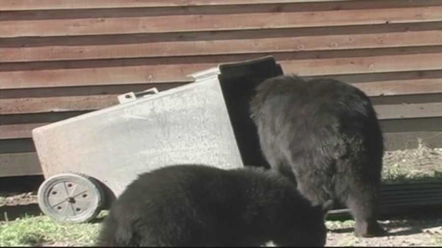 Seminole County has voted to increase the size of trash cans that people can use to encourage them to buy bear-resistant trash cans.