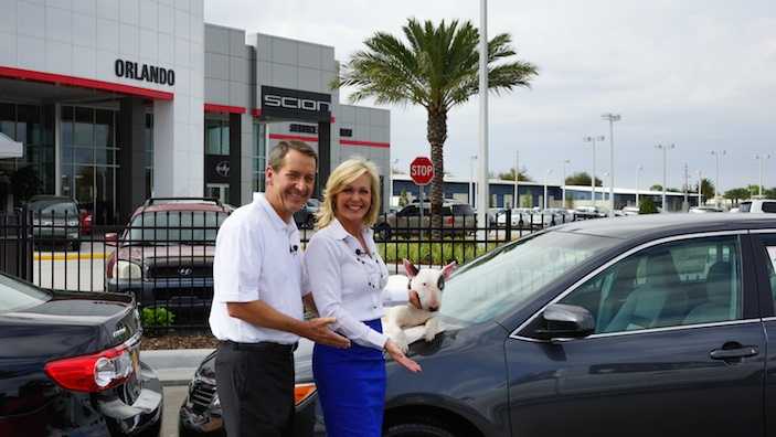 Celebrate 20 years with Toyota of Orlando this week