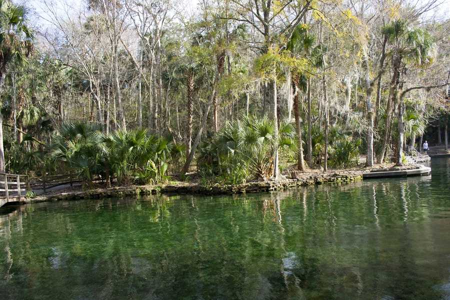 3. Wekiwa Springs State Park is the perfect spot to take your family and friends for a day out in nature. Visitors can enjoy a picnic, take a swim, rent a canoe, go on a hike or horseback ride. 1800 Wekiwa Circle, Apopka, Fla. 32712