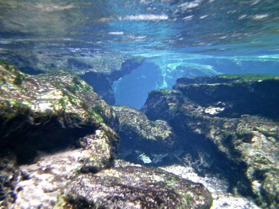 16. Visit Kelly Park/ Rock Springs in Apopka for a day of cooling off and relaxation. The centerpiece of Kelly Park is the crystal clear spring that bubbles up from a cleft in a rock before pouring out into the stream. 400 E Kelly Park Rd, Apopka, Fla. 32712