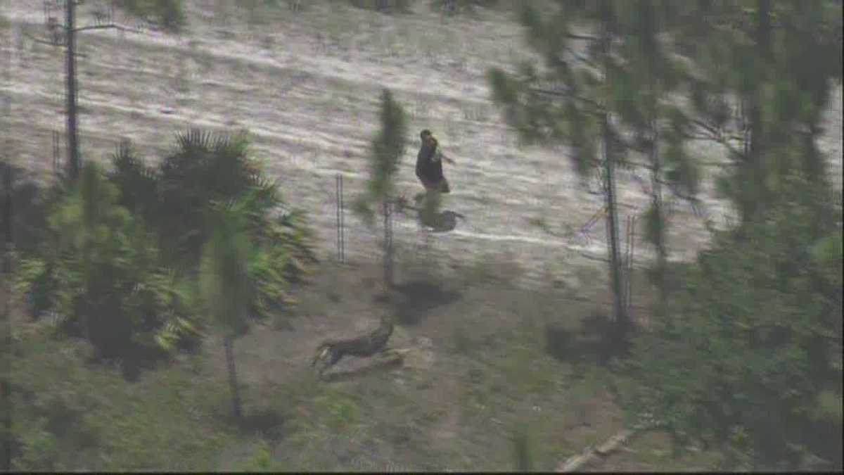 K-9 takes down suspect after police chase